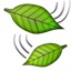 Leaf Fluttering In Wind Emoji 1f343