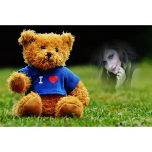 Teddy_bear_love photo effect