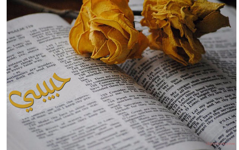 Your Lover's Name On The Book And Yellow Flowers Make