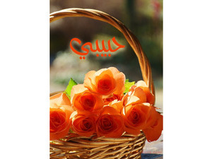 Type your lover's name on the Orange Flower Basket