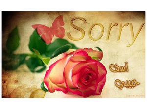 Type the apology on card with a rose and a butterfly